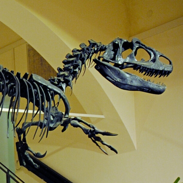 CIVICO MUSEO DELLE SCIENZE NATURALI